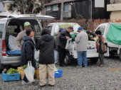 地元の野菜は新鮮!